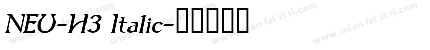 NEU-H3 Italic字体转换